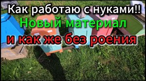 КАК работаю с нуклеусами и не только #пчелы #топ #рек