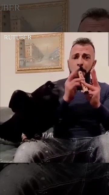 ВОРОНА