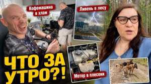 Что натворил муж, пока я спала? Машина в плесени. Мне было страшно в лесу ВЛОГ