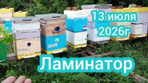Ламинатор.