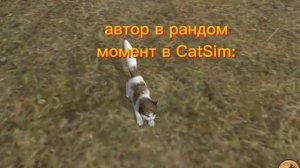 видос с 𝐶𝑎𝑡𝑆𝑖𝑚