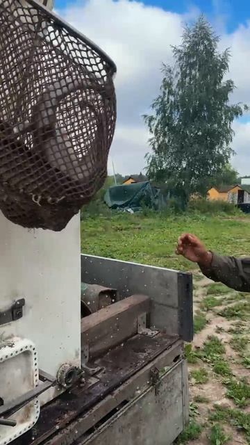 Приёмка новой партии форельки ‼️