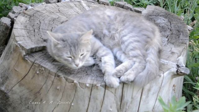 Мой город в 2016 году