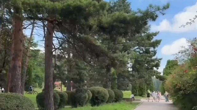 #270 Анапа.Купаемся,гуляем на Набережной.🐬🐬🐬 парк роз в г.Кисловодске. смотреть онлайн