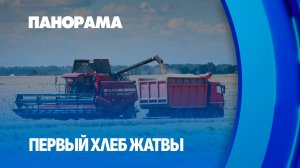 Уборочная кампания-2026: как технологии помогают собирать урожай быстрее? Панорама