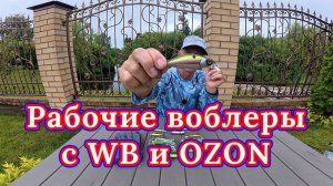 Рабочие Воблеры с Валберез и Озон. Замена Jackall, ZipBaits, Megabass от бренда ROLANS !