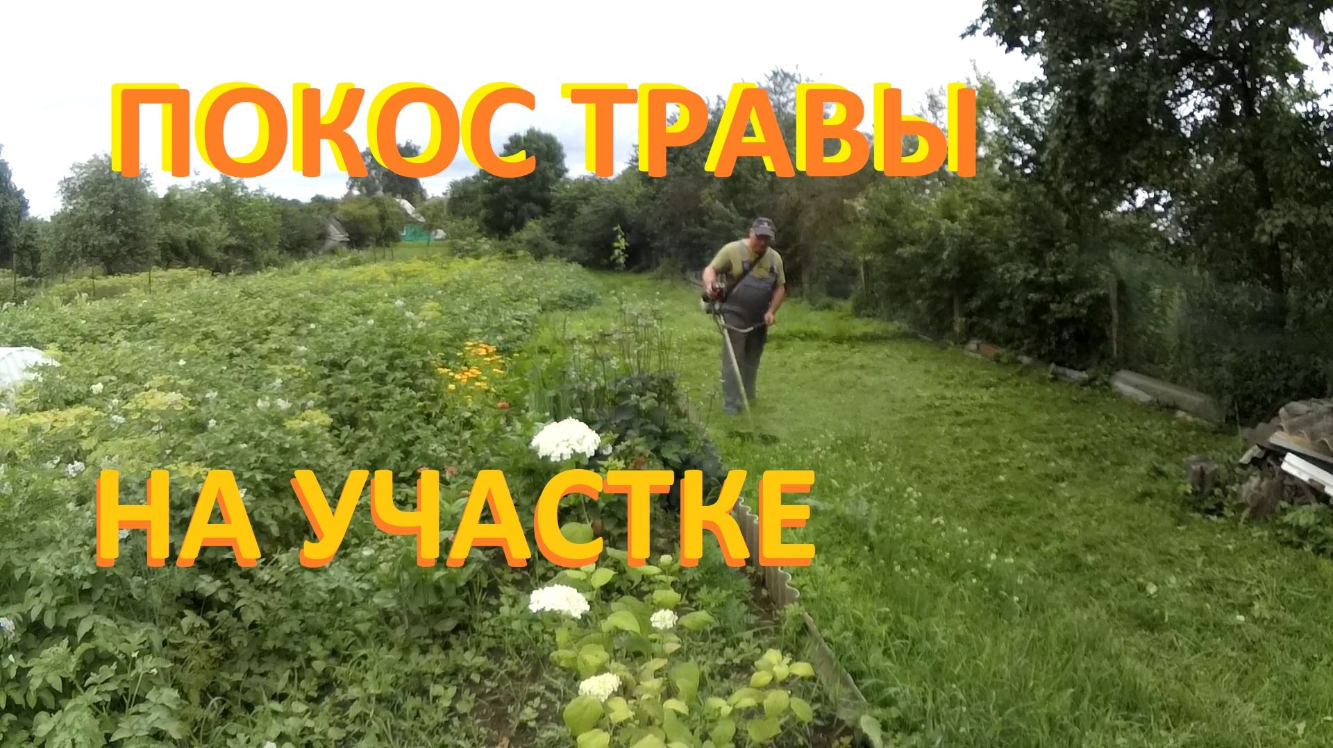 Покос травы на участке