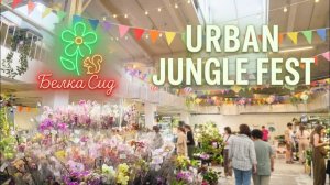 URBAN JUNGLE: Самый РАННИЙ Обзор Участника. Белка Сид и Crystal Orchid!