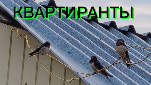 15-07-2026 Всё идёт своим чередом.