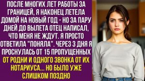 После многих лет работы за границей, я наконец летела домой на Новый год - но за пару дней