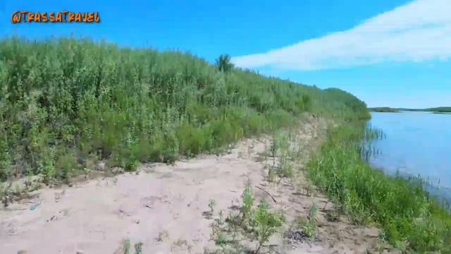 Поймай если сможешь! в Амурской области