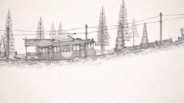 Кошачий экспресс