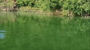 Рыбалка на Шиловском Котловане, 09. 07.2026 года, г. Воронеж, мкр. Шилово