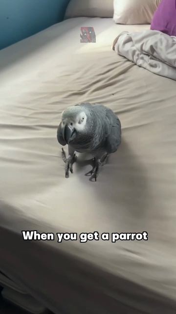 Удивительное Рядом 😼🫶😎