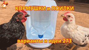 Кормушки и поилки для кур своими руками (273) 🪚✂️ Пошаговая инструкция как сделать 🐔 🐓❣️