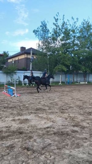 14.07.2026 (кобыла не седлалась два дня!)))