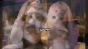 милые котики?