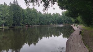 Утренний обзор с нижнего водоёма. Клёвое место, Лосиный остров.