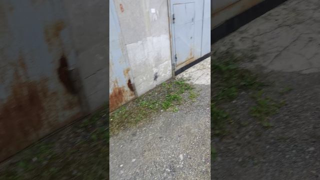 VID_20260715_184404.mp4 смотреть онлайн