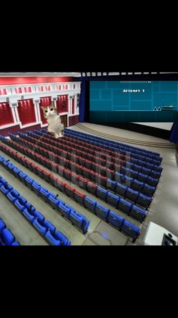 мяул 5 смотреть онлайн
