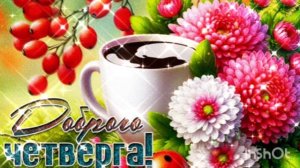 ПРОСНУЛИСЬ ?! СЛУШАЕМ КРАСИВУЮ МУЗЫКУ И НАСТРАИВАЕМСЯ НА ПОЗИТИВ