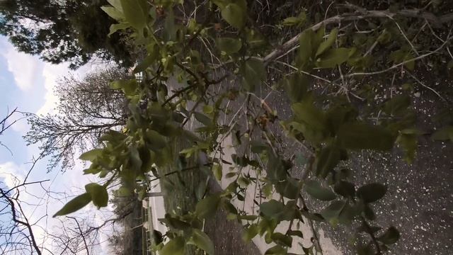 Один из дней города Евпатории | 12 апреля 2022 год | Крым ХАН БАТОН XAH 6ATOH | VID_20220412_142929