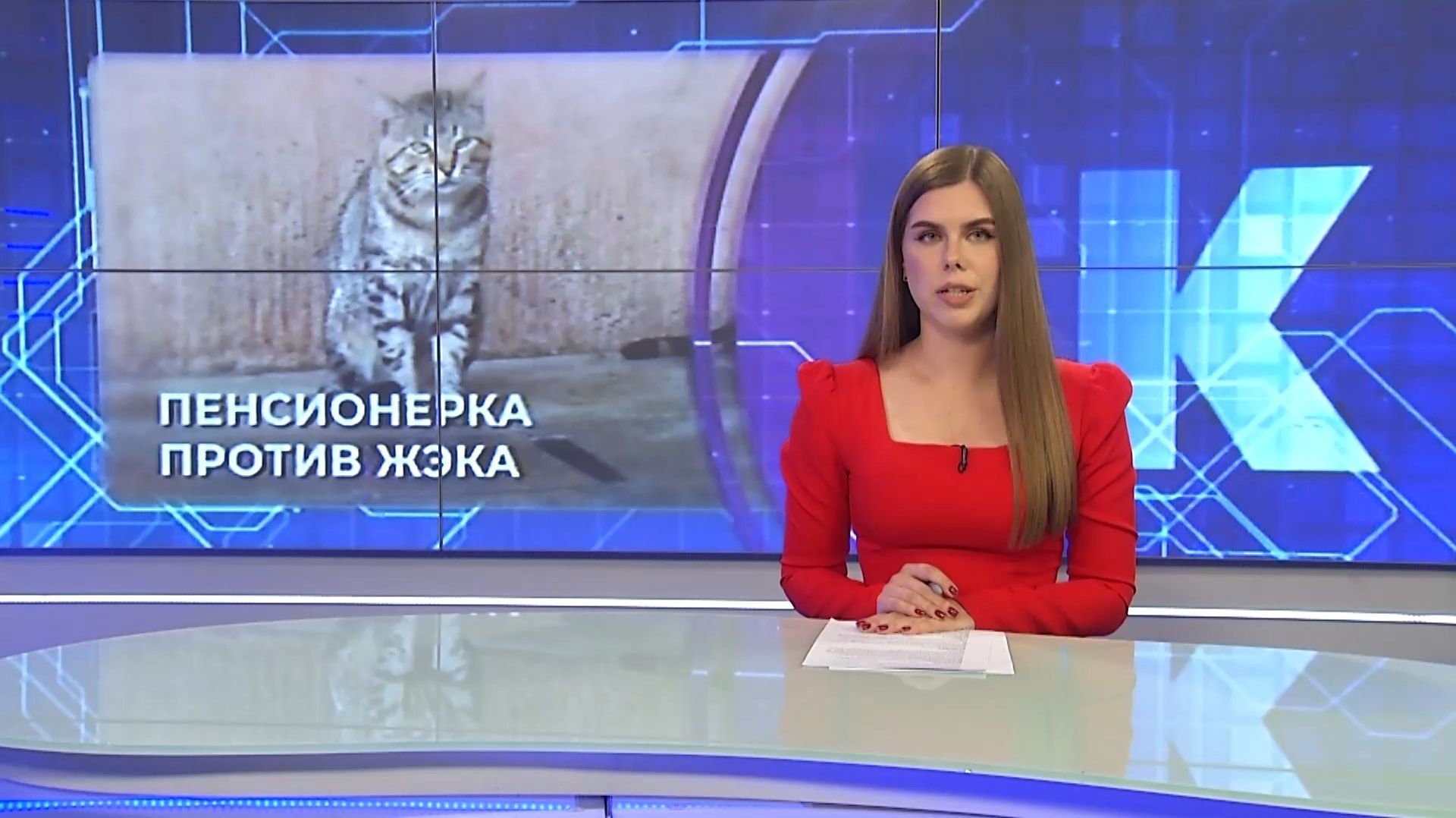 Новости Калининграда — итоги дня, 14.07.2026