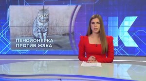 Новости Калининграда — итоги дня, 14.07.2026