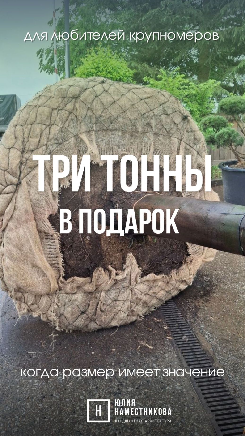 Юлия Наместникова_reels