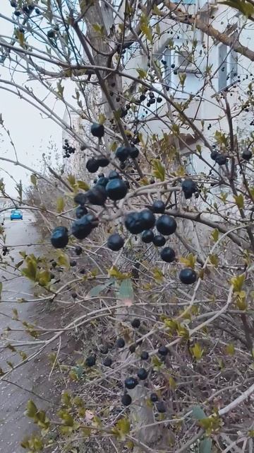 Вот такой день в городе Евпатория | 12 апреля 2022 год | Крым | ХАН БАТОН | VID_20220412_143033 -Р