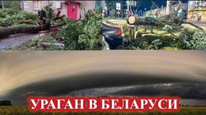 Ураган обрушился на Витебск❗ Последствия❗