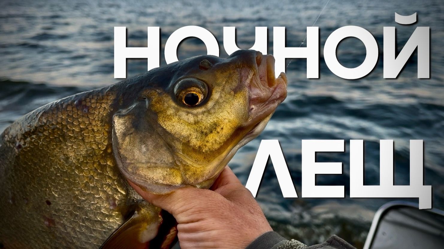 НОЧНАЯ рыбалка. Как ловлю ЛЕЩА! Рыбалка на фидер! смотреть онлайн