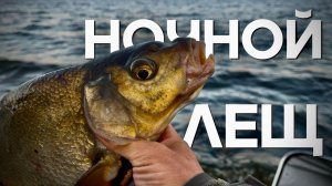 НОЧНАЯ рыбалка. Как ловлю ЛЕЩА! Рыбалка на фидер!