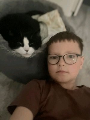 Я подал заявку на галочку