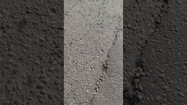 следим за максимом смотреть онлайн