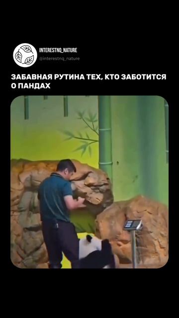 Дружбаны смотреть онлайн