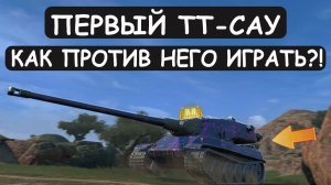 ЛЕСТА СДЕЛАЛА ТТ-САУ! ЕМУ ДАЛИ КД 7 СЕКУНД и 800 УРОНА! Tanks blitz