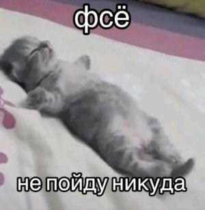 рб