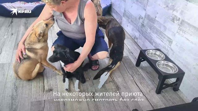 test1 смотреть онлайн