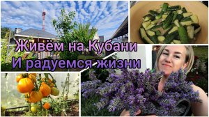 Живём на Кубани и радуемся жизни🥰☀Сын пошёл работать 💪