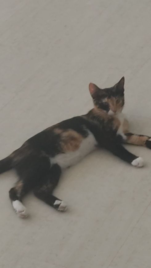 Стеша и Ваня😸