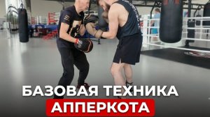 Базовая техника апперкота