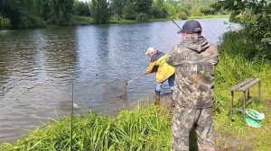 Светлые Горы Карп 15.07.2026г.