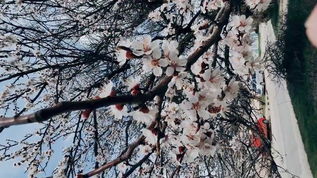 Один из дней города Евпатории | 12 апреля 2022 год | Крым ХАН БАТОН XAH 6ATOH | VID_20220412_143642