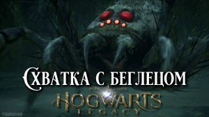 Схватка с беглецом. Hogwarts Legacy прохождение. Absconder Encounter