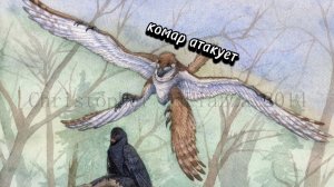 выживание за чангу с нуля