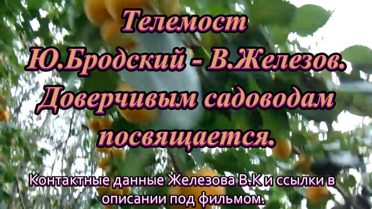 Телемост Ю.Бродский - В.Железов. Доверчивым садоводам посвящается. смотреть онлайн