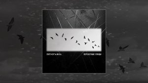 Пятиэтажка - Перелетные птицы (Официальная премьера трека)