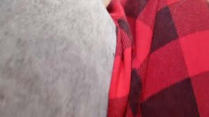 1000035279.mp4