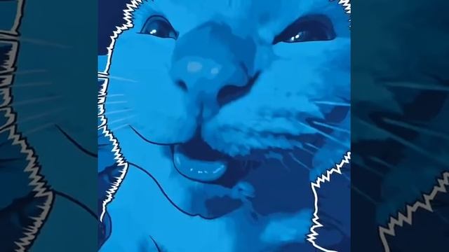 cat edit смотреть онлайн